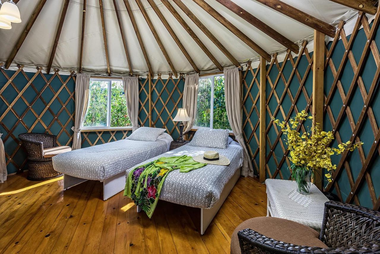 Kapaau Hawaii Island Retreat At Ahu Pohaku Ho'Omaluhia 빌라 외부 사진