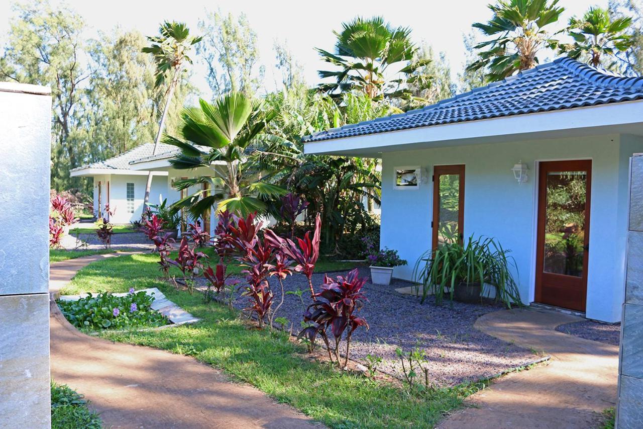 Kapaau Hawaii Island Retreat At Ahu Pohaku Ho'Omaluhia 빌라 외부 사진