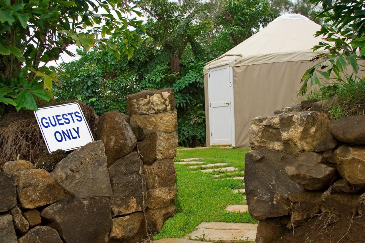 Kapaau Hawaii Island Retreat At Ahu Pohaku Ho'Omaluhia 빌라 외부 사진