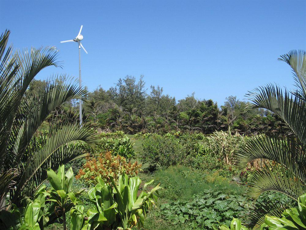 Kapaau Hawaii Island Retreat At Ahu Pohaku Ho'Omaluhia 빌라 외부 사진