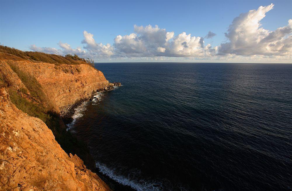 Kapaau Hawaii Island Retreat At Ahu Pohaku Ho'Omaluhia 빌라 외부 사진