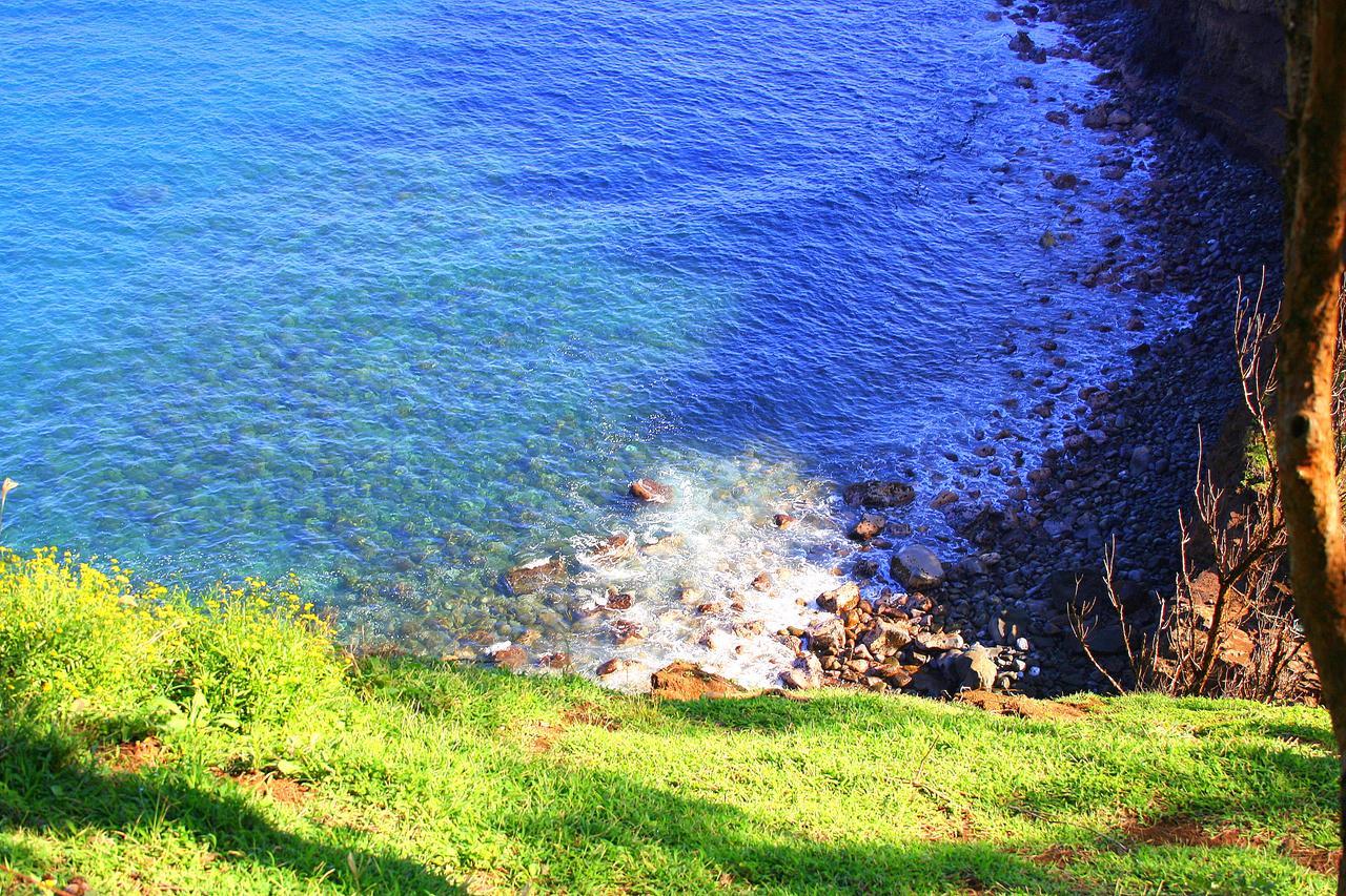 Kapaau Hawaii Island Retreat At Ahu Pohaku Ho'Omaluhia 빌라 외부 사진