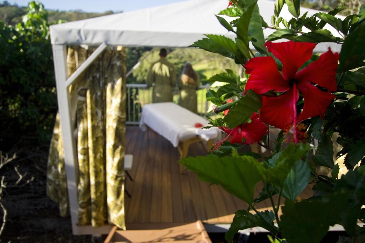 Kapaau Hawaii Island Retreat At Ahu Pohaku Ho'Omaluhia 빌라 외부 사진