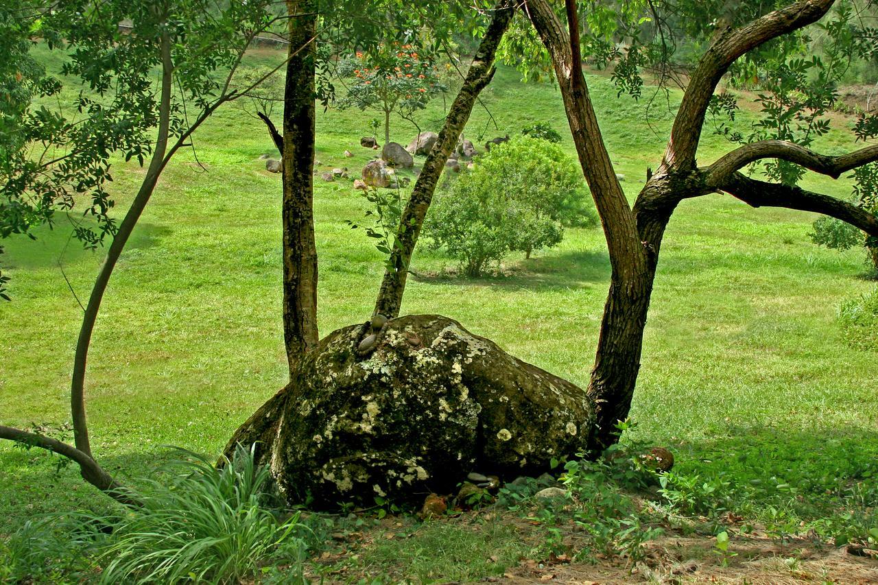 Kapaau Hawaii Island Retreat At Ahu Pohaku Ho'Omaluhia 빌라 외부 사진