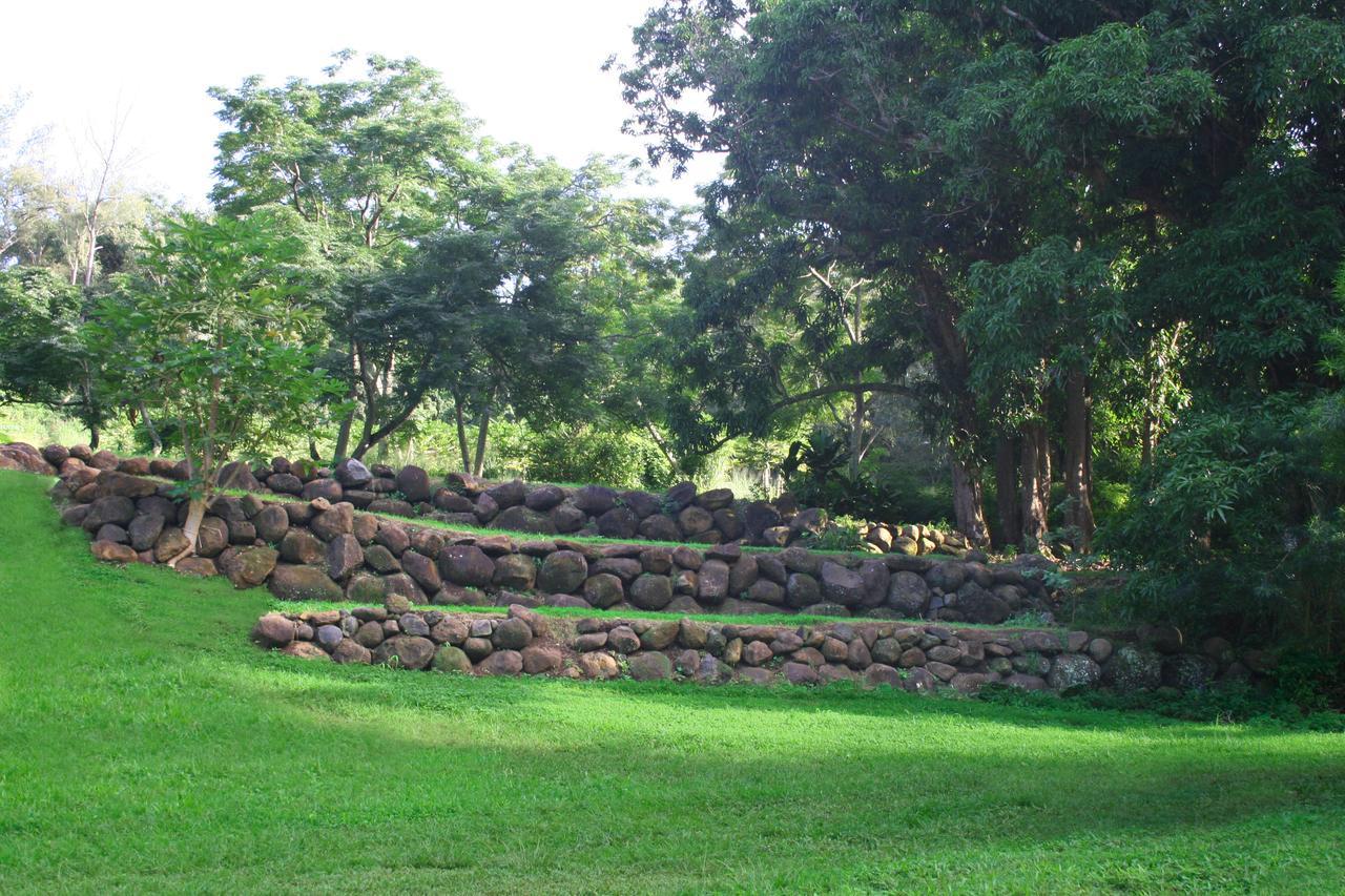 Kapaau Hawaii Island Retreat At Ahu Pohaku Ho'Omaluhia 빌라 외부 사진