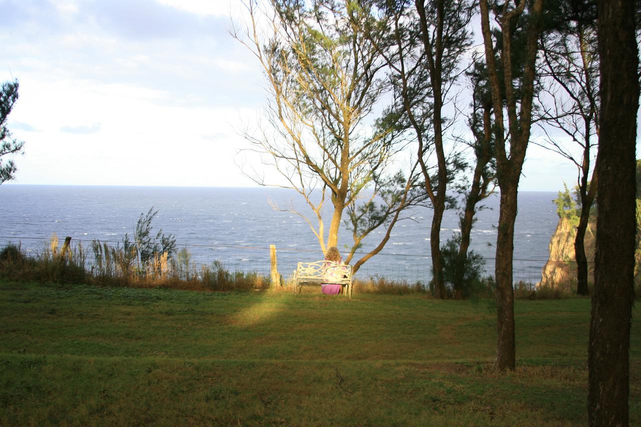 Kapaau Hawaii Island Retreat At Ahu Pohaku Ho'Omaluhia 빌라 외부 사진