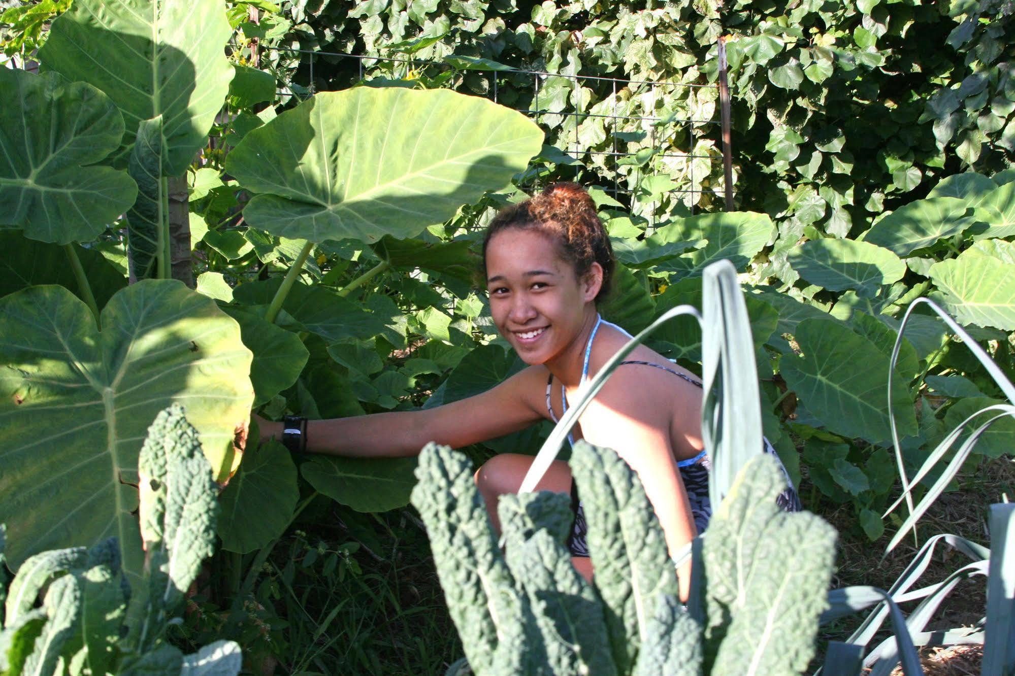 Kapaau Hawaii Island Retreat At Ahu Pohaku Ho'Omaluhia 빌라 외부 사진
