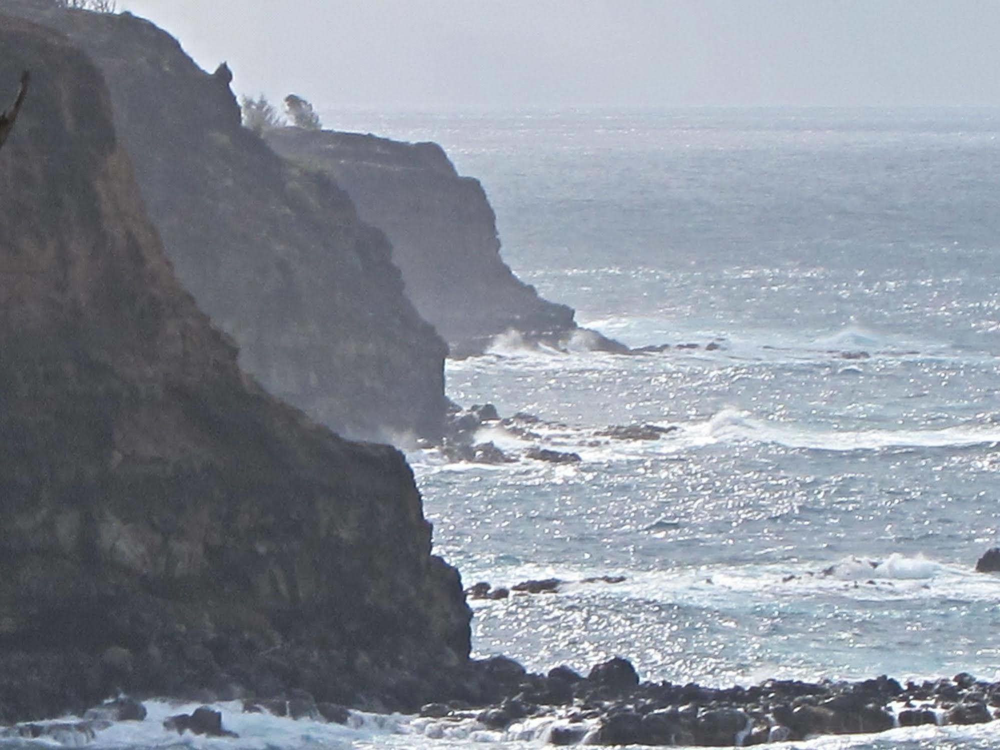 Kapaau Hawaii Island Retreat At Ahu Pohaku Ho'Omaluhia 빌라 외부 사진