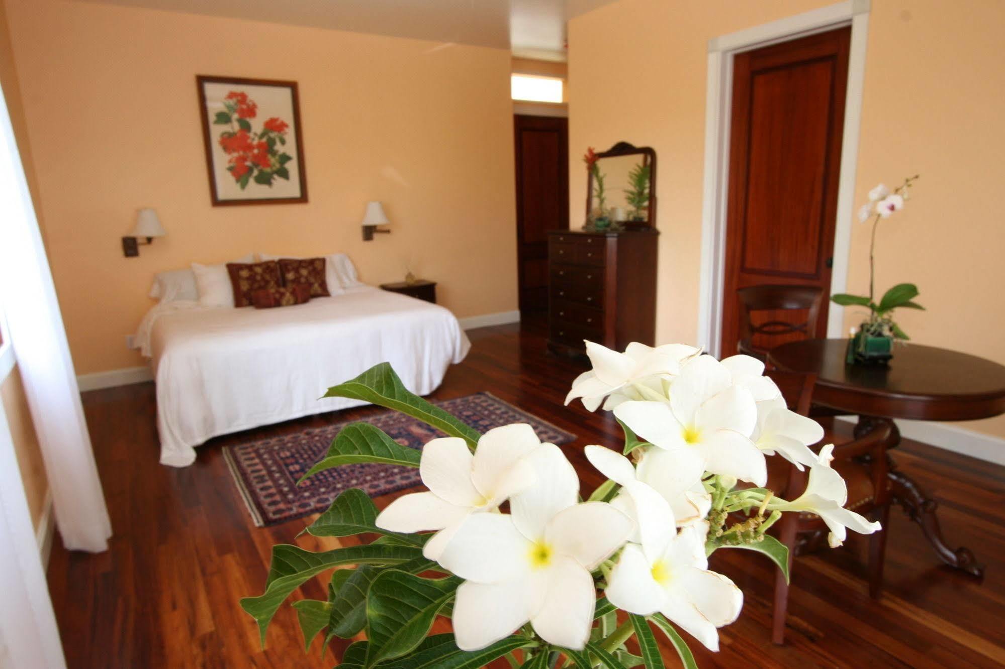 Kapaau Hawaii Island Retreat At Ahu Pohaku Ho'Omaluhia 빌라 외부 사진