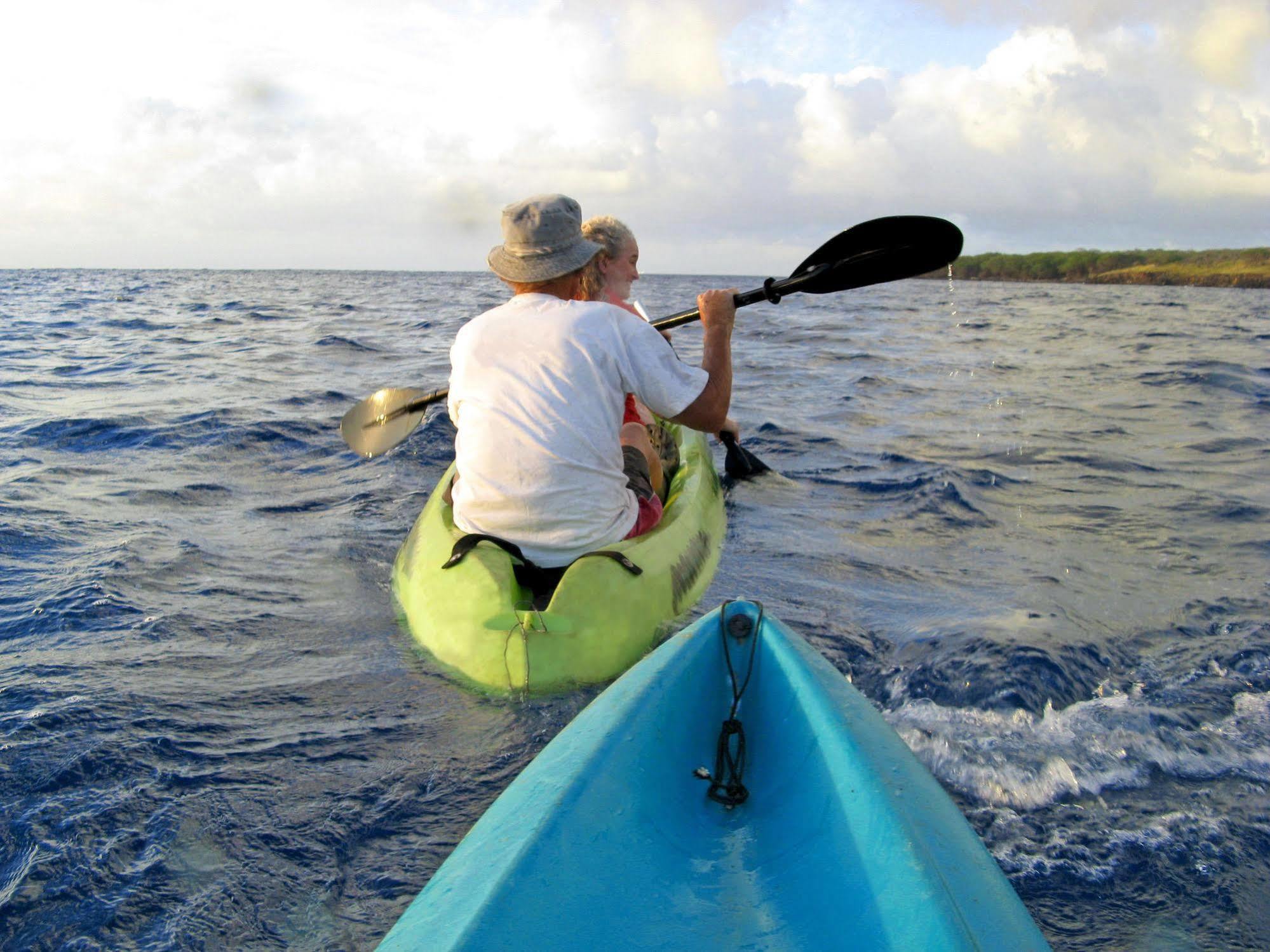 Kapaau Hawaii Island Retreat At Ahu Pohaku Ho'Omaluhia 빌라 외부 사진